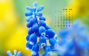 2012年3月日历壁纸_19