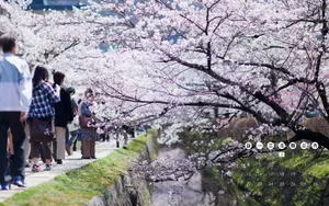 2012年日历壁纸-风景篇_3