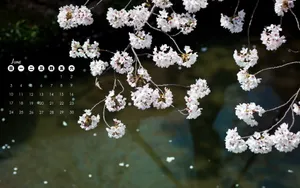 2012年日历壁纸-风景篇_5