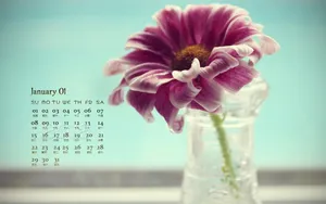 2012年1月日历桌面壁纸_2