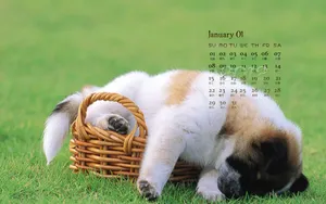 2012年1月日历桌面壁纸_9