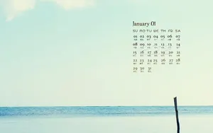 2012年1月日历桌面壁纸_13