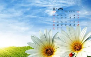 2012年1月日历桌面壁纸_18