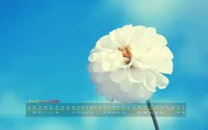 2012年1月日历桌面壁纸_19