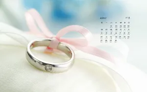 2011年11月日历桌面壁纸_8