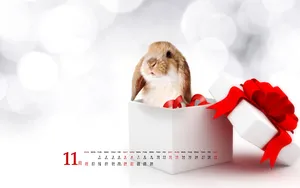 2011年11月日历桌面壁纸_15