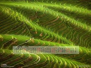 2011年11月日历壁纸_2