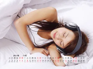 2011年11月日历壁纸_12