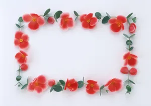 好看的花环图片_23