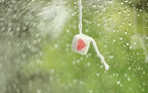 精选图片高清壁纸_7