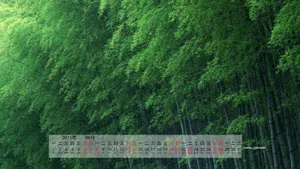 2011年8月日历壁纸_4