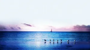 2011年7月精选壁纸 第一辑_3