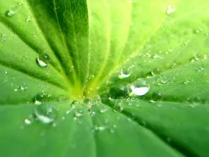 精选壁纸 第一辑_11