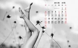 2011年7月日历壁纸_19