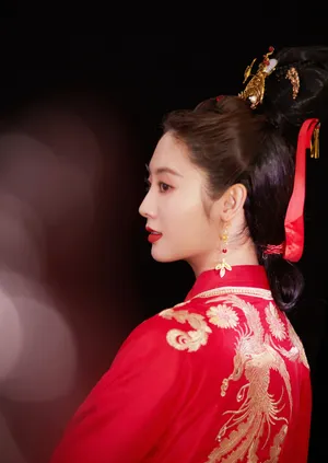 邢菲红嫁衣造型优雅气质写真_4