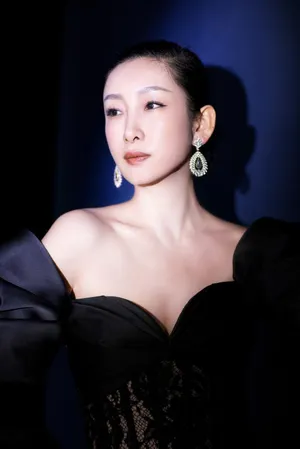 秦海璐露肩丝绸长裙沉静典雅写真图片_5