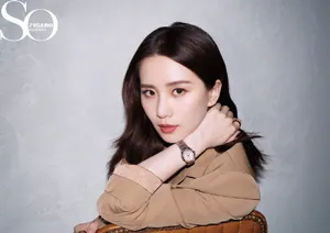 刘诗诗初冬午后大片写真图片