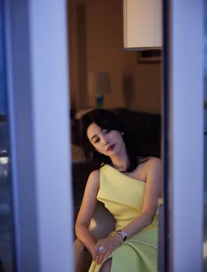 李冰冰优雅长裙性感图片写真_4