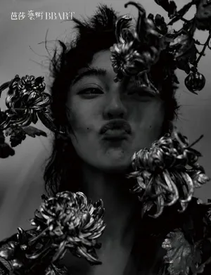 范冰冰黑白光影国风大片写真图片