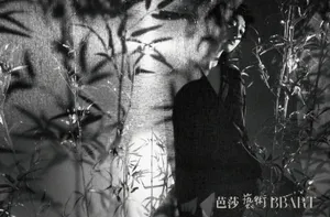 范冰冰光影国风眼神深邃写真图片_7