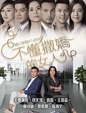 林文龙《不懂撒娇的女人》海报剧照图片_9