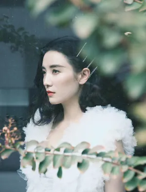 宋佳优雅靓丽写真图片
