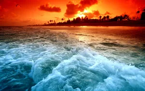 迷人夕阳海边景色壁纸_4