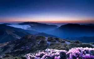 蓝色天空唯美风景桌面壁纸_10