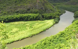 亮丽的优美风景桌面壁纸_19