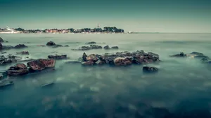清新护眼的风景桌面壁纸_8