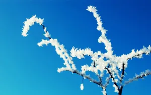 雾凇奇观美景桌面壁纸_14