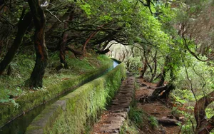 2013年自然风景精美壁纸_2