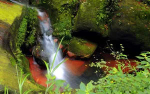贵州赤水天柱峰佛光岩风景壁纸_2