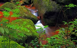 贵州赤水天柱峰佛光岩风景壁纸_5