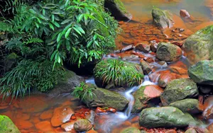 贵州赤水天柱峰佛光岩风景壁纸_7