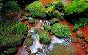 贵州赤水天柱峰佛光岩风景壁纸_8