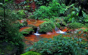 贵州赤水天柱峰佛光岩风景壁纸_10