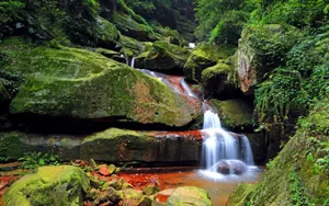 贵州赤水天柱峰佛光岩风景壁纸_12