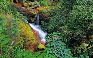 贵州赤水天柱峰佛光岩风景壁纸_14