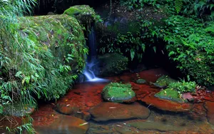 贵州赤水天柱峰佛光岩风景壁纸_17