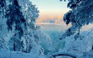银装素裹的美丽雪景壁纸_17