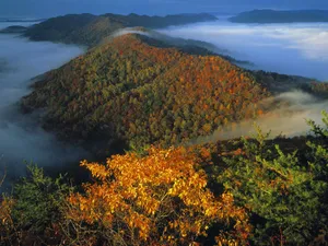 亮丽的自然风景类桌面壁纸_18