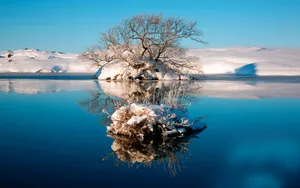 冬雪覆盖下的湖水风景壁纸_2