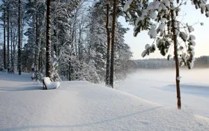 冬雪覆盖下的湖水风景壁纸_5