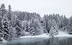 冬雪覆盖下的湖水风景壁纸_15