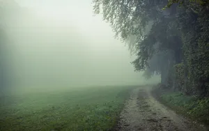 早晨的浓雾风景桌面壁纸_4