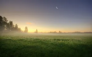 早晨的浓雾风景桌面壁纸_5