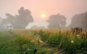 早晨的浓雾风景桌面壁纸_11