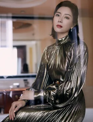 陈数银色长裙优雅写真图片