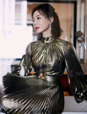陈数银色长裙优雅写真图片_3